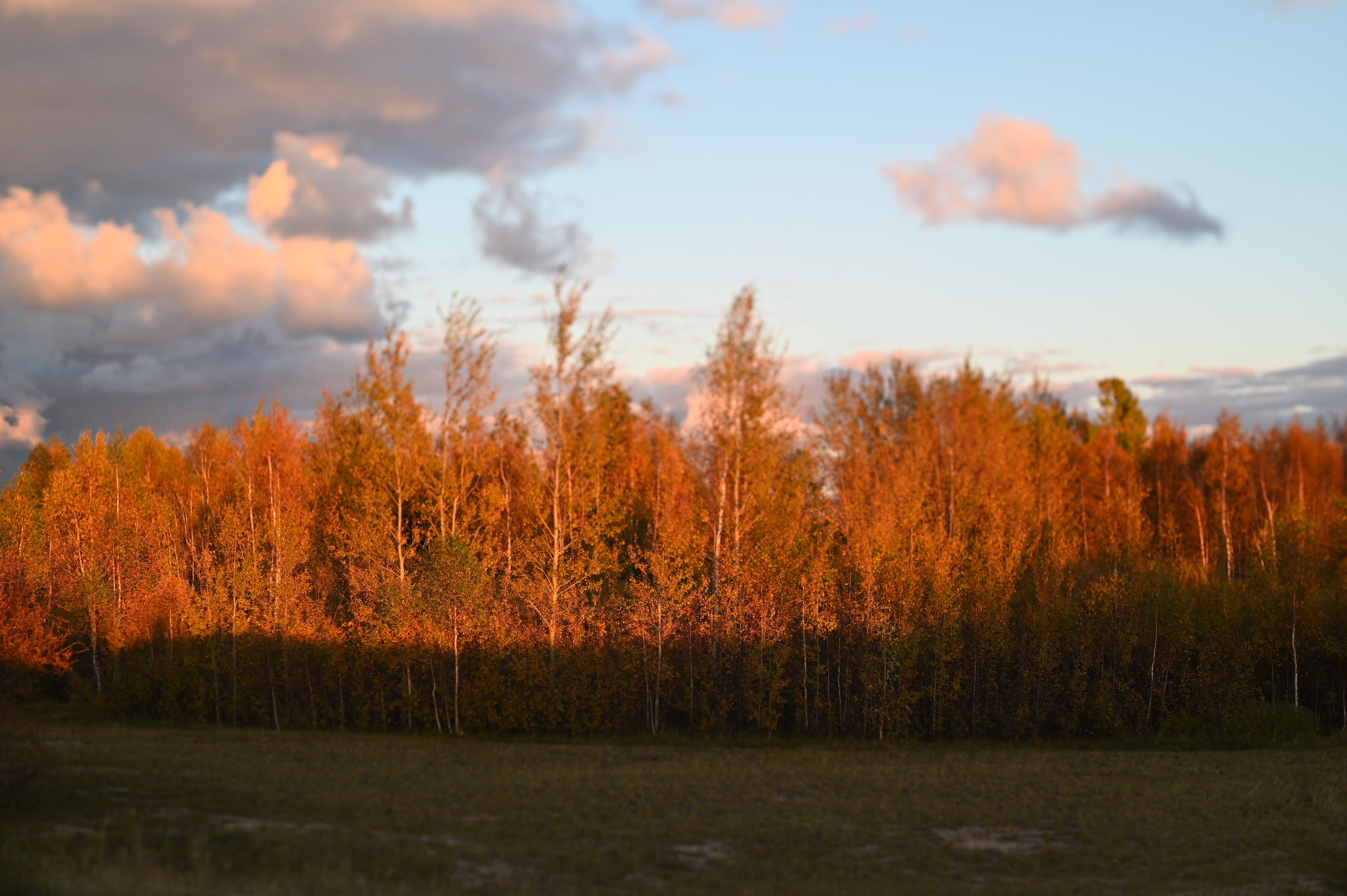 2025/10/18 - walk/DSC_0379.JPG